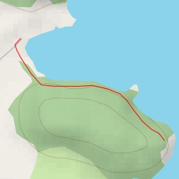 thumbnail for AI - Viewpoint