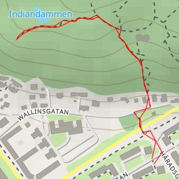 thumbnail for AI - Indiandammen