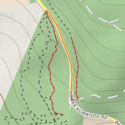 thumbnail for AI - Norwood Plantation