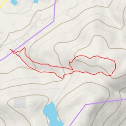 thumbnail for AI - Lambs Hill