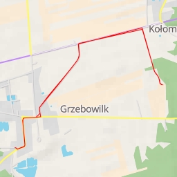 thumbnail for AI - Leśna - Grzebowilk