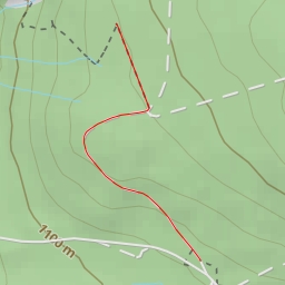 thumbnail for AI - Natürliche Waldentwicklung - Waldhäuser Wald