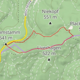 thumbnail for AI - Hochmoor Moosbruch - Warstein