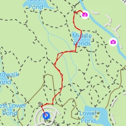 thumbnail for AI - Scenic Overlook