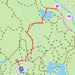 thumbnail for AI - Scenic Overlook