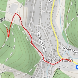 thumbnail for AI - Höhwegs-Kopf