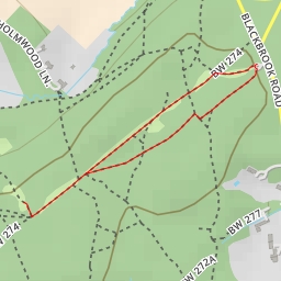 thumbnail for AI - Holmwood Common