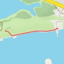 thumbnail for AI - Schelphoek