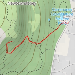 thumbnail for AI - Victorian Well - Newtownabbey