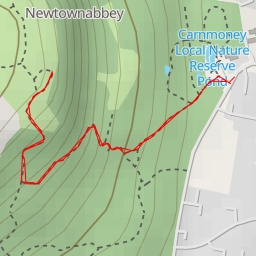 thumbnail for AI - Newtownabbey