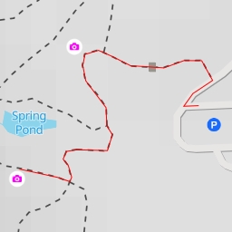 thumbnail for AI - Terrace Overlook