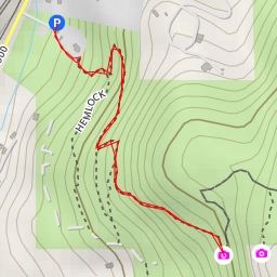 thumbnail for AI - Madrona