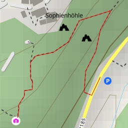 thumbnail for AI - Norbert-Mösch-Birke - Ahorntal