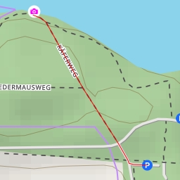 thumbnail for AI - Vogelbeobachtung