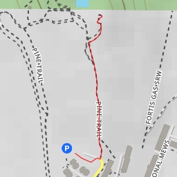 thumbnail for AI - Pine Trail Lookout