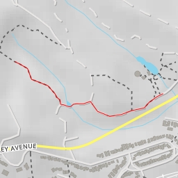 thumbnail for AI - Flying Foxes