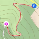 thumbnail for AI - Hêtre Martine - Dampierre-Saint-Nicolas