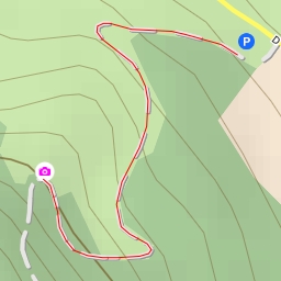 thumbnail for AI - Hêtre Martine - Dampierre-Saint-Nicolas