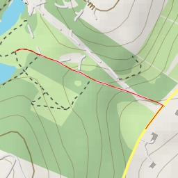 thumbnail for AI - Scots Pine - Town of Greenville