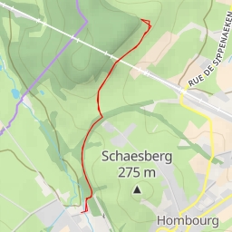 thumbnail for AI - Chemin vicinel nr 41 - Plombières