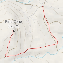 thumbnail for AI - Pine Cone