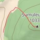 thumbnail for AI - Șumuleu Mare