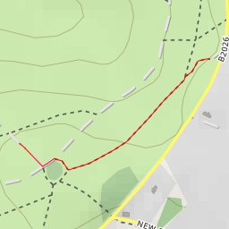 thumbnail for AI - Camp Hill Clump