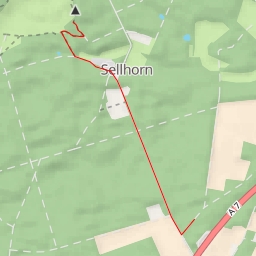 thumbnail for AI - Holzberg