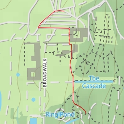 thumbnail for AI - Elephant - Derbyshire Dales
