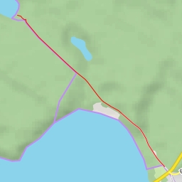 thumbnail for AI - ścieżka dydaktyczna - Strękowizna