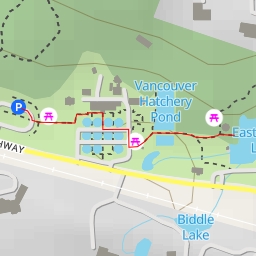 thumbnail for AI - Viewing Deck