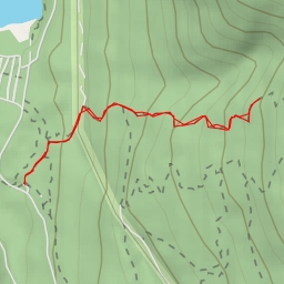 thumbnail for AI - Polytrichum Lookout