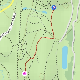 thumbnail for AI - Washington Park Arboretum