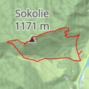 thumbnail for AI - Sokolie