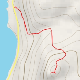 thumbnail for AI - Mirador Condor