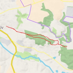 thumbnail for AI - правобережний ДХ - Васильківська міська громада