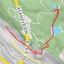 thumbnail for AI - Bjørnebu - Bergen