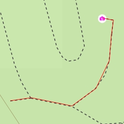 thumbnail for AI - Da voglwuide Sepp - Sankt Englmar