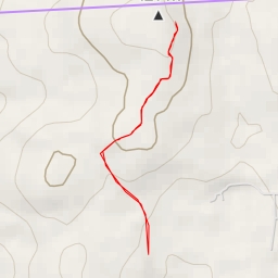 thumbnail for AI - Pine Mountain