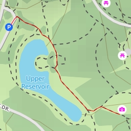 thumbnail for AI - Philosopher's Hill and Labyrinth - San Francisco