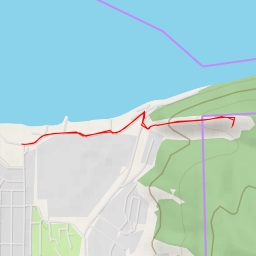 thumbnail for AI - Лысая