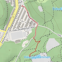 thumbnail for AI - Hästhagsdammen