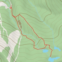 thumbnail for AI - Lac Spruce