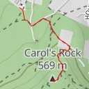 thumbnail for AI - Carolafelsen