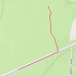 thumbnail for AI - Sammy’s Stick Point