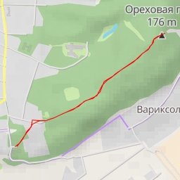 thumbnail for AI - Ореховая гора