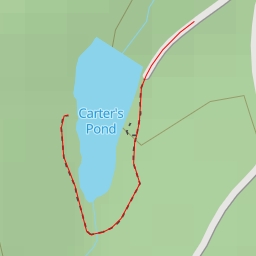 thumbnail for AI - Carter's Pond