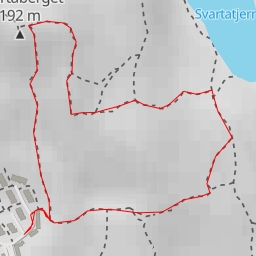 thumbnail for AI - Bjørndalstræ
