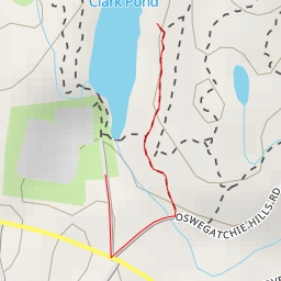 thumbnail for AI - Clark Pond