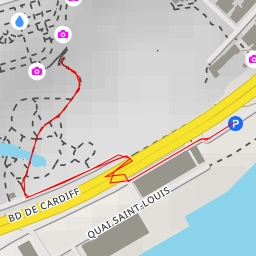 thumbnail for AI - Millepertuis commun - Nantes